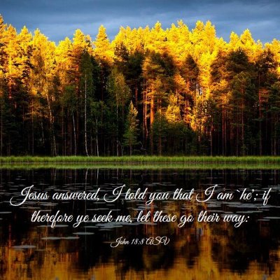 Picture 03 - John 18:8 ASV - Jesus answered, I told you that I am `he'; if - Bible Verse Picture