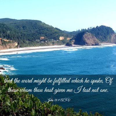 Picture 03 - John 18:9 ASV - that the word might be fulfilled which he spake, - Bible Verse Picture