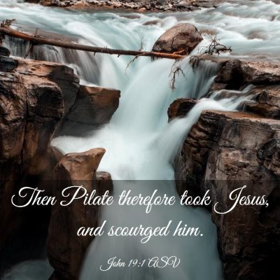 Picture 03 - John 19:1 ASV - Then Pilate therefore took Jesus, and scourged - Bible Verse Picture
