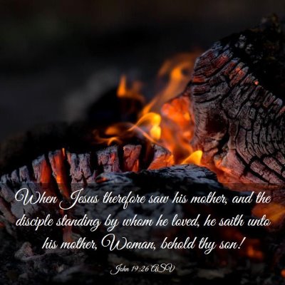 Picture 03 - John 19:26 ASV - When Jesus therefore saw his mother, and the - Bible Verse Picture