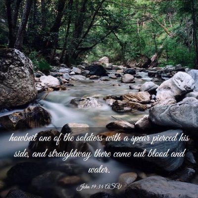 Picture 03 - John 19:34 ASV - howbeit one of the soldiers with a spear pierced - Bible Verse Picture