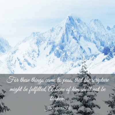 Picture 03 - John 19:36 ASV - For these things came to pass, that the scripture - Bible Verse Picture