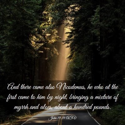 Picture 03 - John 19:39 ASV - And there came also Nicodemus, he who at the - Bible Verse Picture