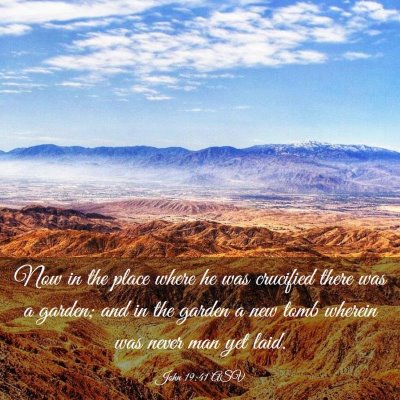 Picture 03 - John 19:41 ASV - Now in the place where he was crucified there was - Bible Verse Picture