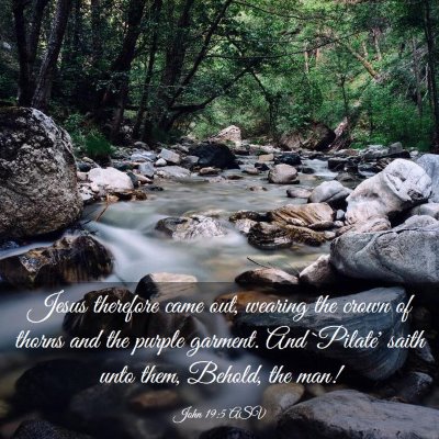 Picture 03 - John 19:5 ASV - Jesus therefore came out, wearing the crown of - Bible Verse Picture