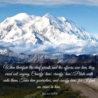Picture 03 - John 19:6 ASV - When therefore the chief priests and the officers - Bible Verse Picture