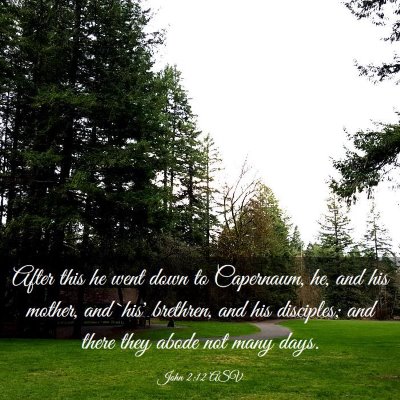 Picture 03 - John 2:12 ASV - After this he went down to Capernaum, he, and his - Bible Verse Picture