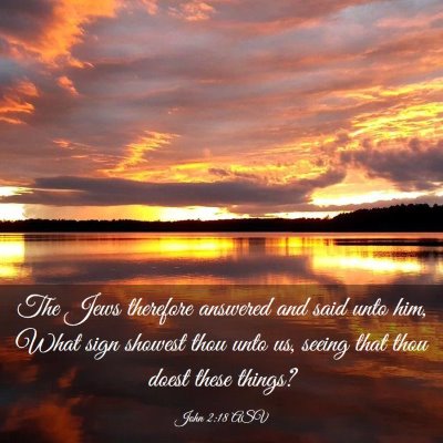 Picture 03 - John 2:18 ASV - The Jews therefore answered and said unto him, - Bible Verse Picture