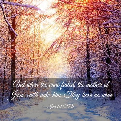Picture 03 - John 2:3 ASV - And when the wine failed, the mother of Jesus - Bible Verse Picture