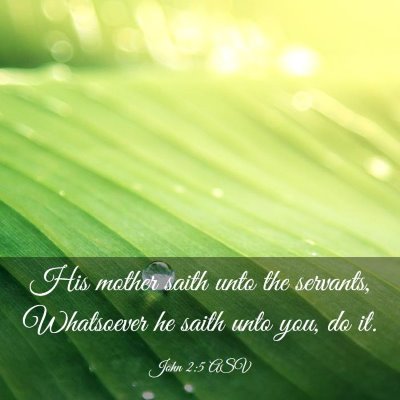 Picture 03 - John 2:5 ASV - His mother saith unto the servants, Whatsoever he - Bible Verse Picture