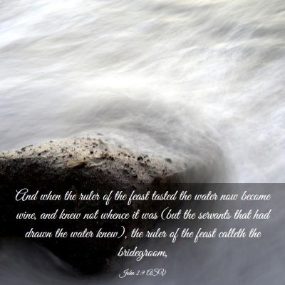 Picture 03 - John 2:9 ASV - And when the ruler of the feast tasted the water - Bible Verse Picture