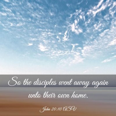 Picture 03 - John 20:10 ASV - So the disciples went away again unto their own - Bible Verse Picture