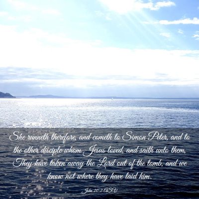Picture 03 - John 20:2 ASV - She runneth therefore, and cometh to Simon Peter, - Bible Verse Picture
