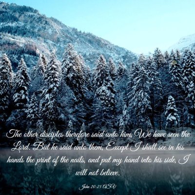 Picture 03 - John 20:25 ASV - The other disciples therefore said unto him, We - Bible Verse Picture
