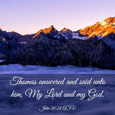 Picture 03 - John 20:28 ASV - Thomas answered and said unto him, My Lord and my - Bible Verse Picture