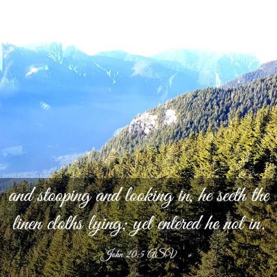 Picture 03 - John 20:5 ASV - and stooping and looking in, he seeth the linen - Bible Verse Picture