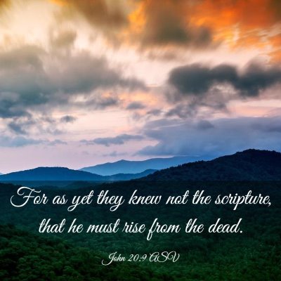 Picture 03 - John 20:9 ASV - For as yet they knew not the scripture, that he - Bible Verse Picture