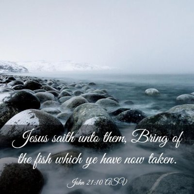 Picture 03 - John 21:10 ASV - Jesus saith unto them, Bring of the fish which ye - Bible Verse Picture
