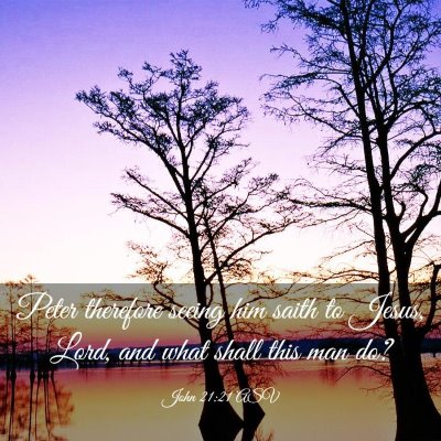 Picture 03 - John 21:21 ASV - Peter therefore seeing him saith to Jesus, Lord, - Bible Verse Picture