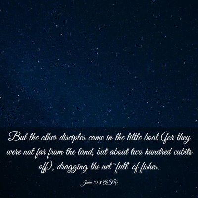 Picture 03 - John 21:8 ASV - But the other disciples came in the little boat - Bible Verse Picture