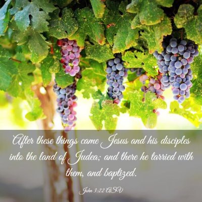 Picture 03 - John 3:22 ASV - After these things came Jesus and his disciples - Bible Verse Picture