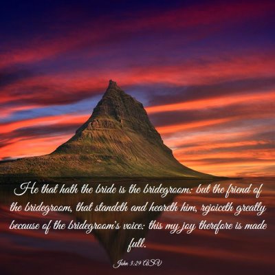 Picture 03 - John 3:29 ASV - He that hath the bride is the bridegroom: but the - Bible Verse Picture