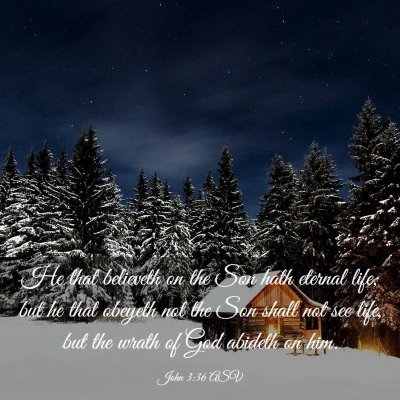 Picture 03 - John 3:36 ASV - He that believeth on the Son hath eternal life; - Bible Verse Picture