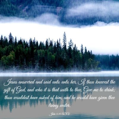 Picture 03 - John 4:10 ASV - Jesus answered and said unto unto her, If thou - Bible Verse Picture