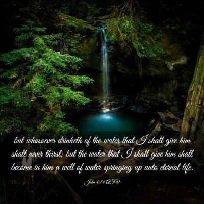 Picture 03 - John 4:14 ASV - but whosoever drinketh of the water that I shall - Bible Verse Picture