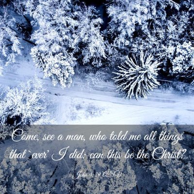 Picture 03 - John 4:29 ASV - Come, see a man, who told me all things that - Bible Verse Picture