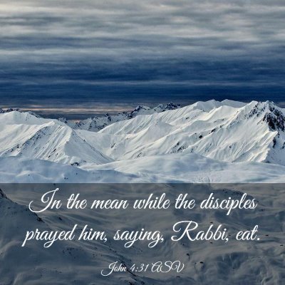 Picture 03 - John 4:31 ASV - In the mean while the disciples prayed him, - Bible Verse Picture