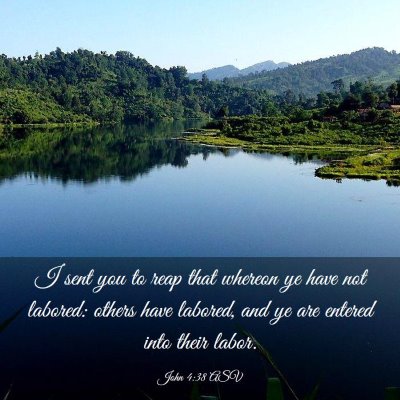 Picture 03 - John 4:38 ASV - I sent you to reap that whereon ye have not - Bible Verse Picture