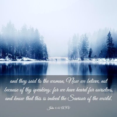 Picture 03 - John 4:42 ASV - and they said to the woman, Now we believe, not - Bible Verse Picture