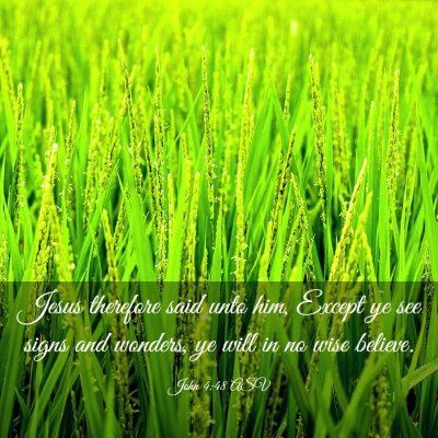 Picture 03 - John 4:48 ASV - Jesus therefore said unto him, Except ye see - Bible Verse Picture