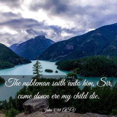Picture 03 - John 4:49 ASV - The nobleman saith unto him, Sir, come down ere - Bible Verse Picture