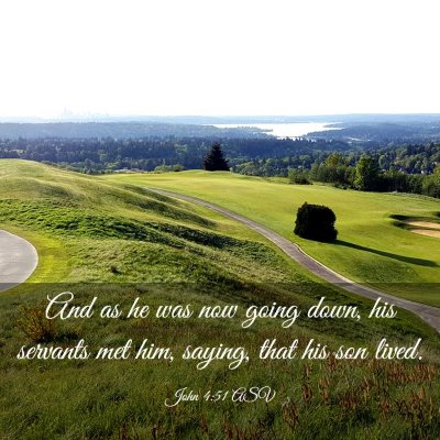 Picture 03 - John 4:51 ASV - And as he was now going down, his servants met - Bible Verse Picture