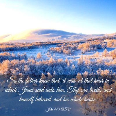 Picture 03 - John 4:53 ASV - So the father knew that `it was' at that hour in - Bible Verse Picture