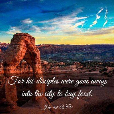 Picture 03 - John 4:8 ASV - For his disciples were gone away into the city to - Bible Verse Picture