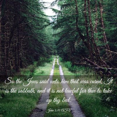 Picture 03 - John 5:10 ASV - So the Jews said unto him that was cured, It is - Bible Verse Picture