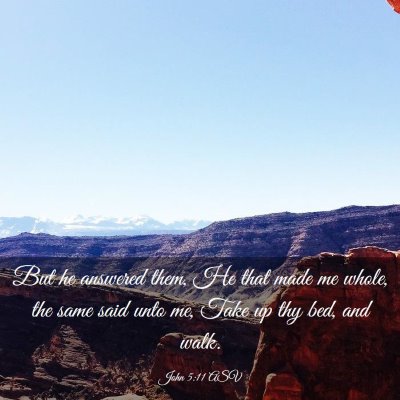 Picture 03 - John 5:11 ASV - But he answered them, He that made me whole, the - Bible Verse Picture
