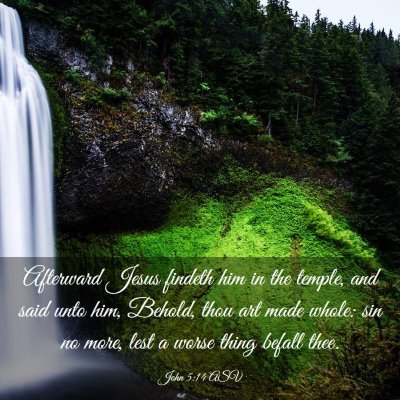 Picture 03 - John 5:14 ASV - Afterward Jesus findeth him in the temple, and - Bible Verse Picture