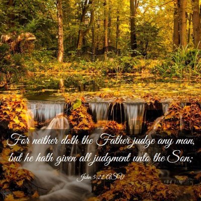 Picture 03 - John 5:22 ASV - For neither doth the Father judge any man, but he - Bible Verse Picture