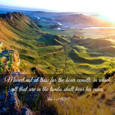 Picture 03 - John 5:28 ASV - Marvel not at this: for the hour cometh, in which - Bible Verse Picture
