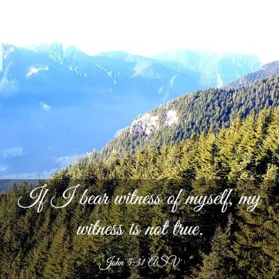 Picture 03 - John 5:31 ASV - If I bear witness of myself, my witness is not - Bible Verse Picture