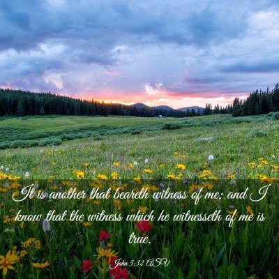 Picture 03 - John 5:32 ASV - It is another that beareth witness of me; and I - Bible Verse Picture