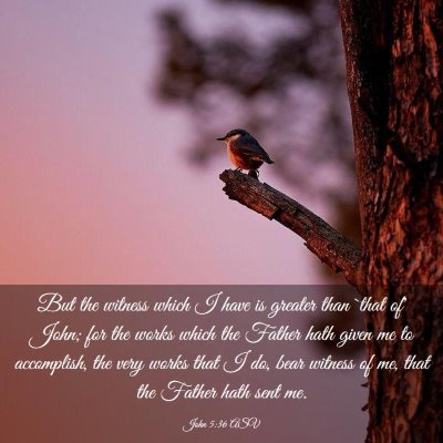 Picture 03 - John 5:36 ASV - But the witness which I have is greater than - Bible Verse Picture
