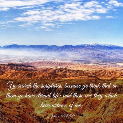 Picture 03 - John 5:39 ASV - Ye search the scriptures, because ye think that - Bible Verse Picture
