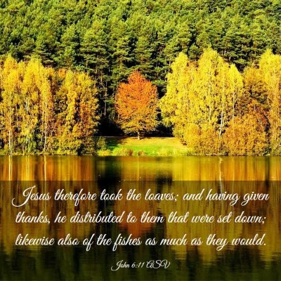 Picture 03 - John 6:11 ASV - Jesus therefore took the loaves; and having given - Bible Verse Picture