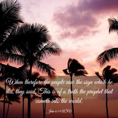 Picture 03 - John 6:14 ASV - When therefore the people saw the sign which he - Bible Verse Picture