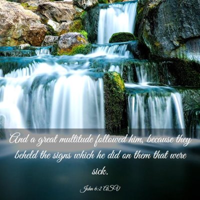 Picture 03 - John 6:2 ASV - And a great multitude followed him, because they - Bible Verse Picture